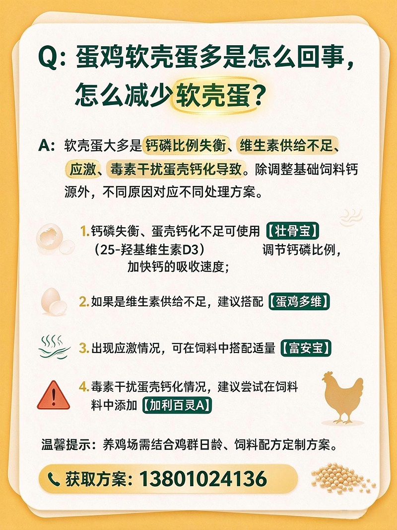 蛋鸡软壳蛋多是怎么回事