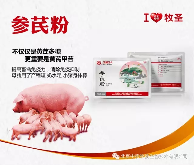 参芪粉.webp
