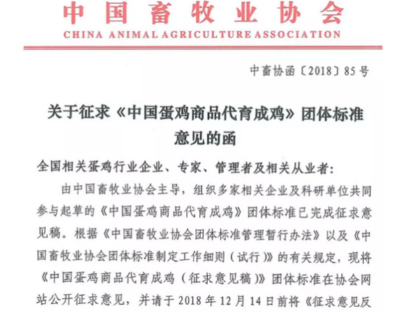 又一项标准即将发布！关于16个蛋鸡育成鸡品种的团体标准即将出炉！