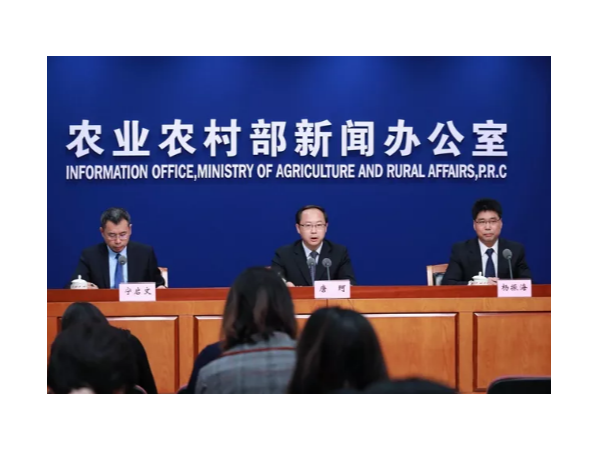 报告！猪多了，市场是否会变？