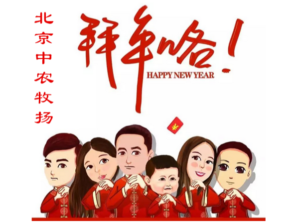 北京中农牧扬祝您新年快乐！“猪”事大吉！