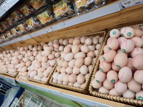 北京中农牧扬600天蛋鸡高产养殖防控保健方案！
