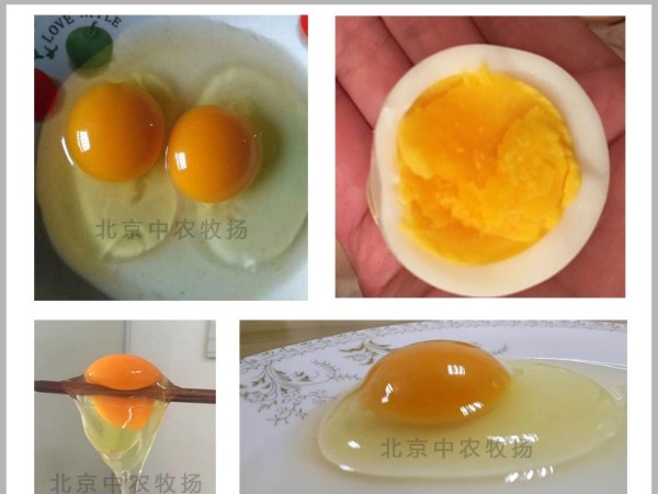 加丽素红、加丽素黄使用说明