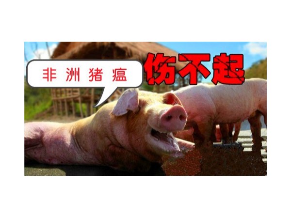 农业农村部进一步规范生猪屠宰环节—非洲猪瘟检测