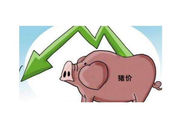 全国各地猪价都降了多少?生猪存栏又增加了多少?
