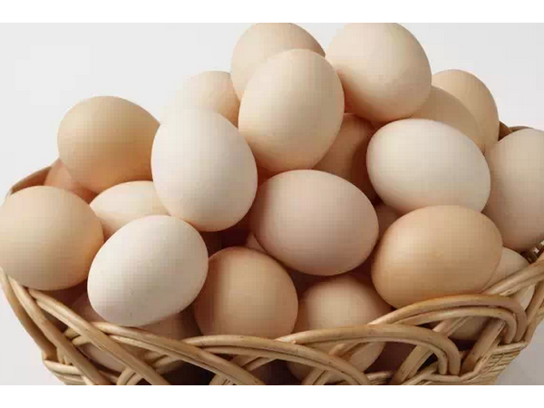 【胆汁酸】防治蛋鸡脂肪肝和肝胆，提高产蛋率延长产蛋高峰！