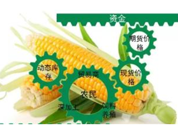 疫情导致玉米流通困难，节后或迎来价位走高！