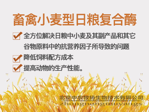 畜禽小麦型日粮复合酶