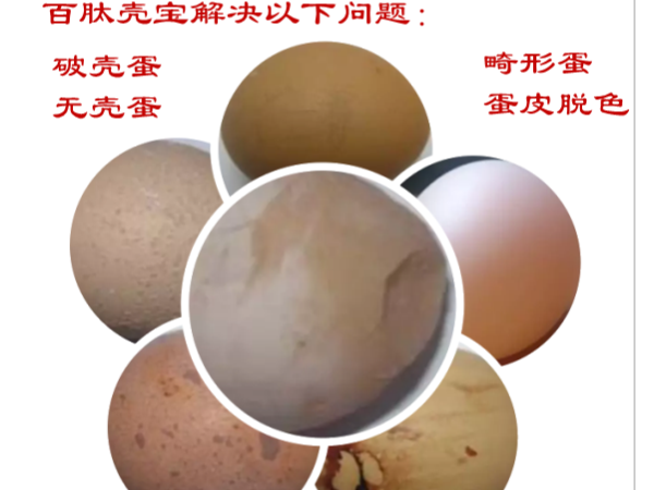 7月上旬蛋价开涨，别让蛋壳破损率影响高收益！