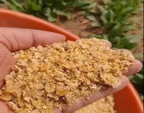 造假饲料