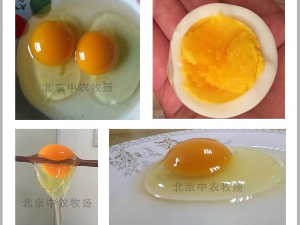 4个小窍门帮您挑选正宗土鸡蛋！