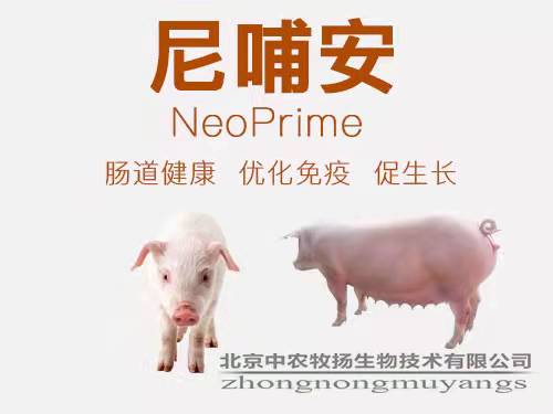 尼哺安 NeoPrime