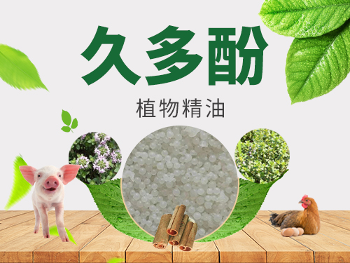 久多酚1.jpg