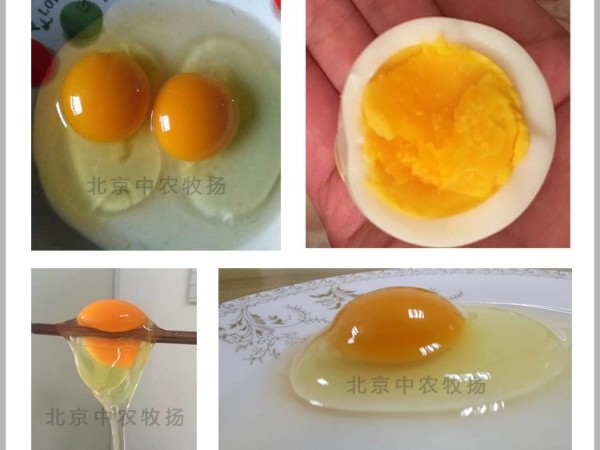 天丽红使用说明