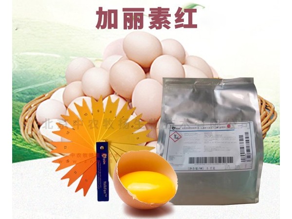 用了北京中农牧扬的加丽素红，老伴每天都提前收摊！