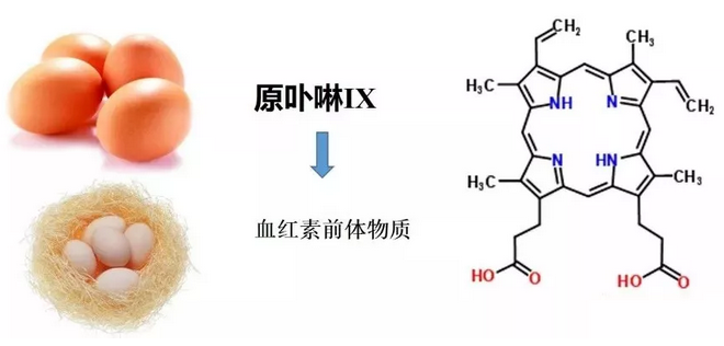 鸡蛋颜色1