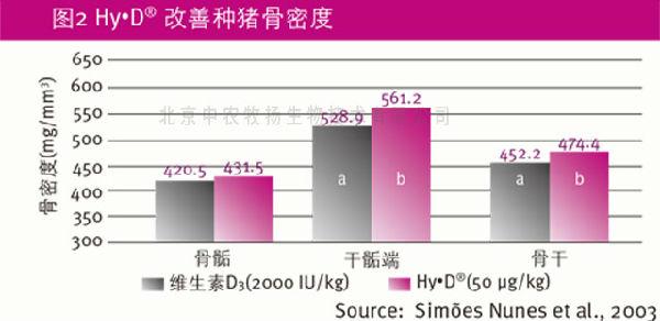 壮骨素