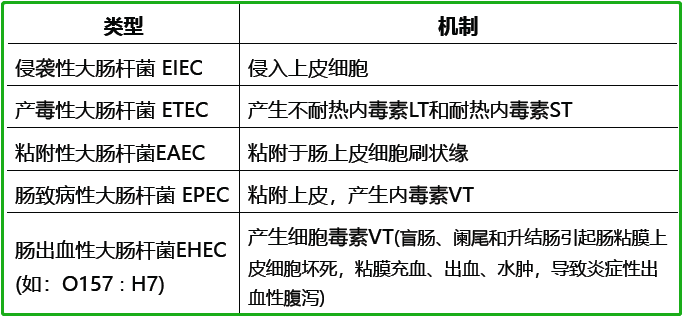 致病性大肠杆菌机制