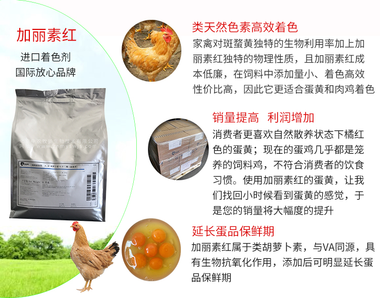 加丽素红带文字图片