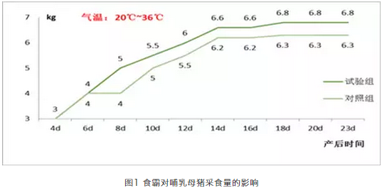 食霸4