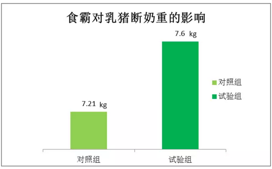 食霸2