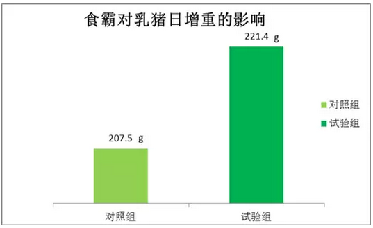 食霸3