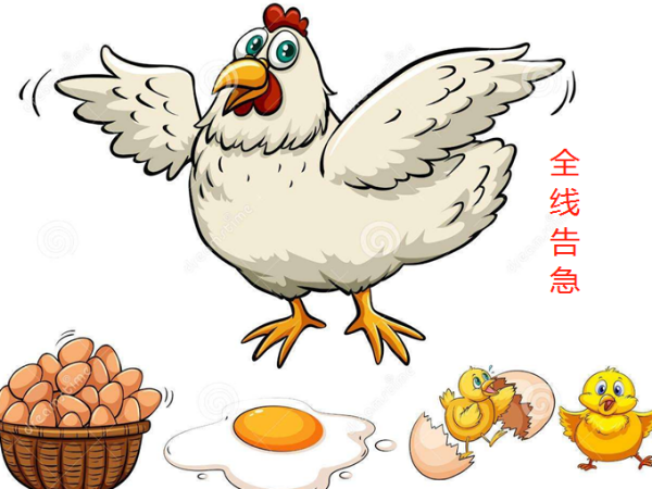 3亿只鸡断粮、13亿枚鸡蛋卖不出去！家禽行业全线告急！