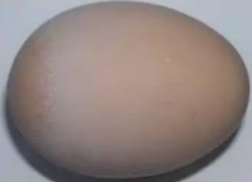 钙包蛋